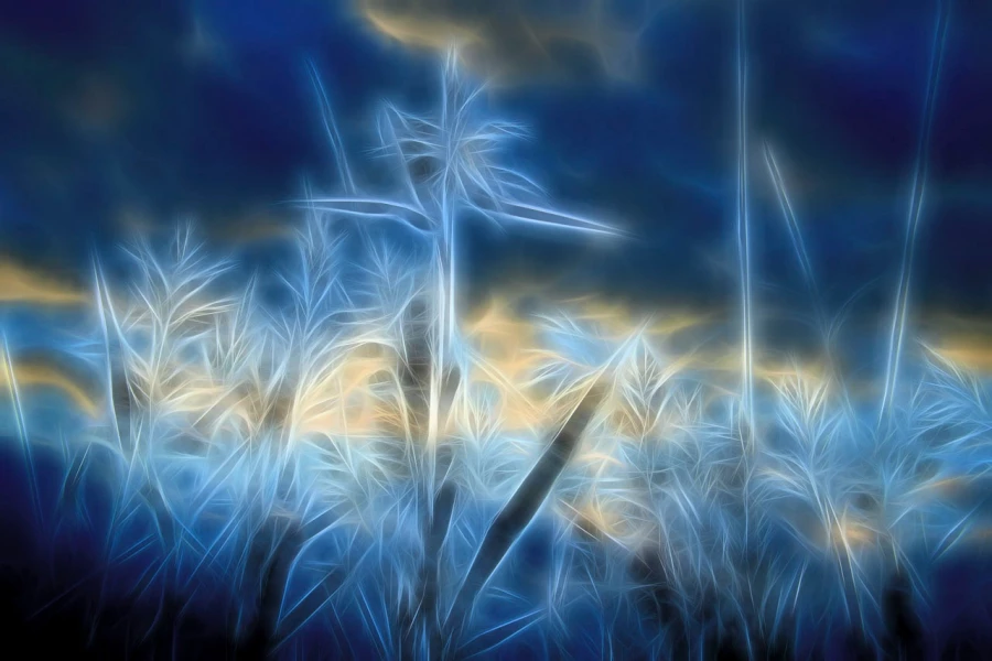 02 bords d etangs en fusion