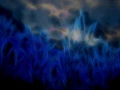 04 bords d etangs en fusion