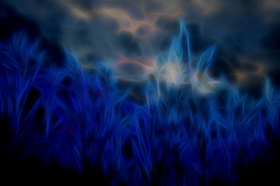 04 bords d etangs en fusion
