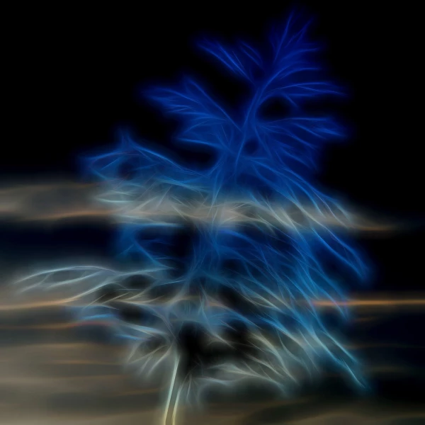 05 bords d etangs en fusion