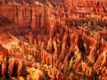 08 paysage de bryce canyon