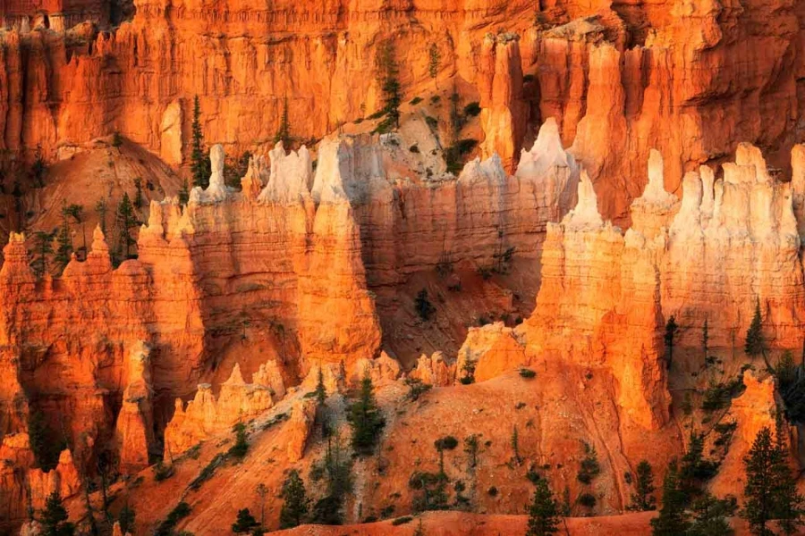 11 paysage de bryce canyon