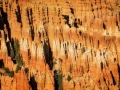 15 paysage de bryce canyon