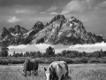 10 grand teton au wyoming