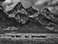 12 grand teton au wyoming