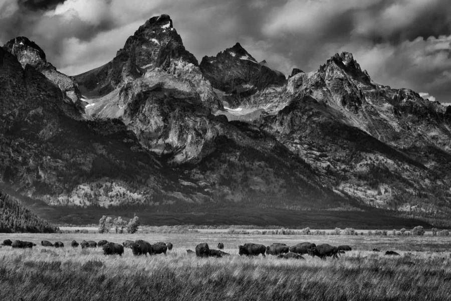 12 grand teton au wyoming