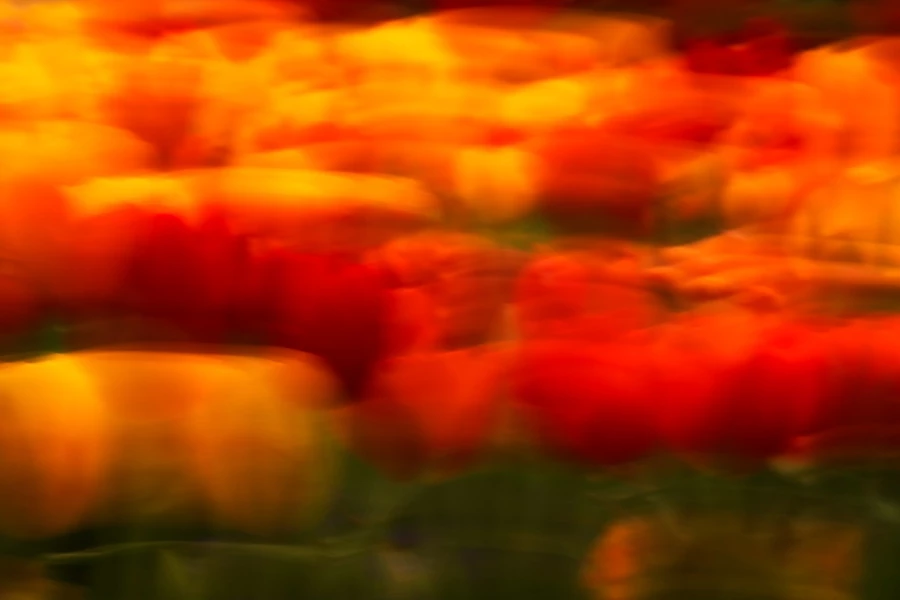 01 tulipes azalees style impression