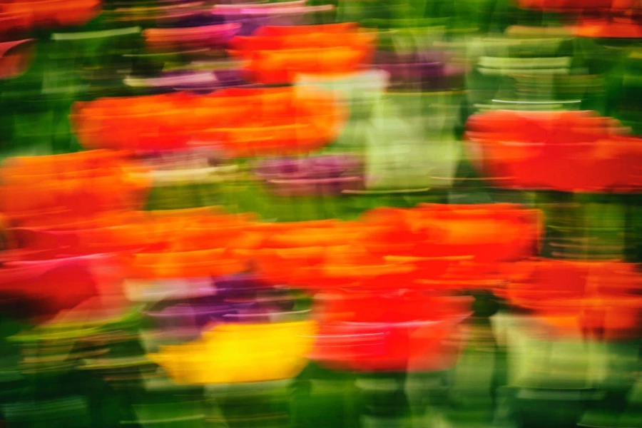 04 tulipes azalees style impression