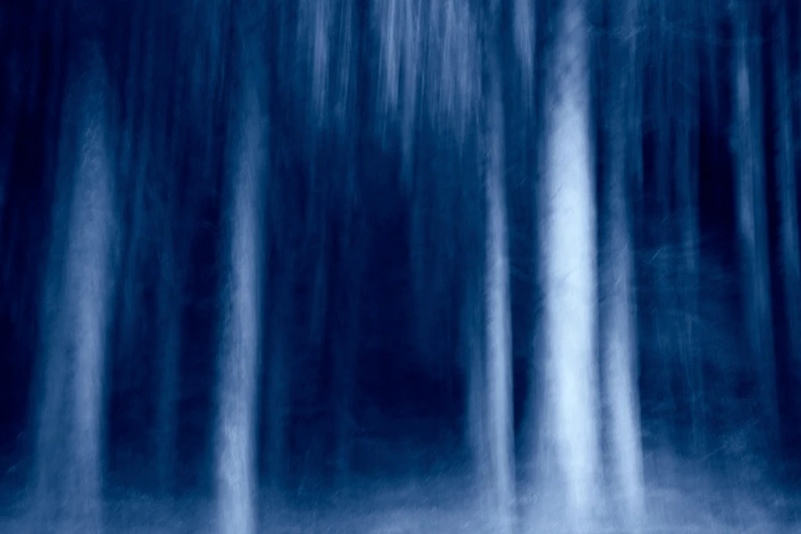 04 sous bois highlands ecosse en flou artistique