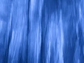 13 sous bois smoky mountains en flou artistique