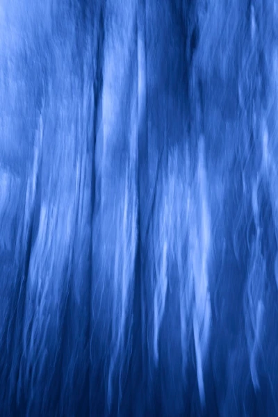 13 sous bois smoky mountains en flou artistique