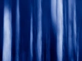 15 sous bois smoky mountains en flou artistique