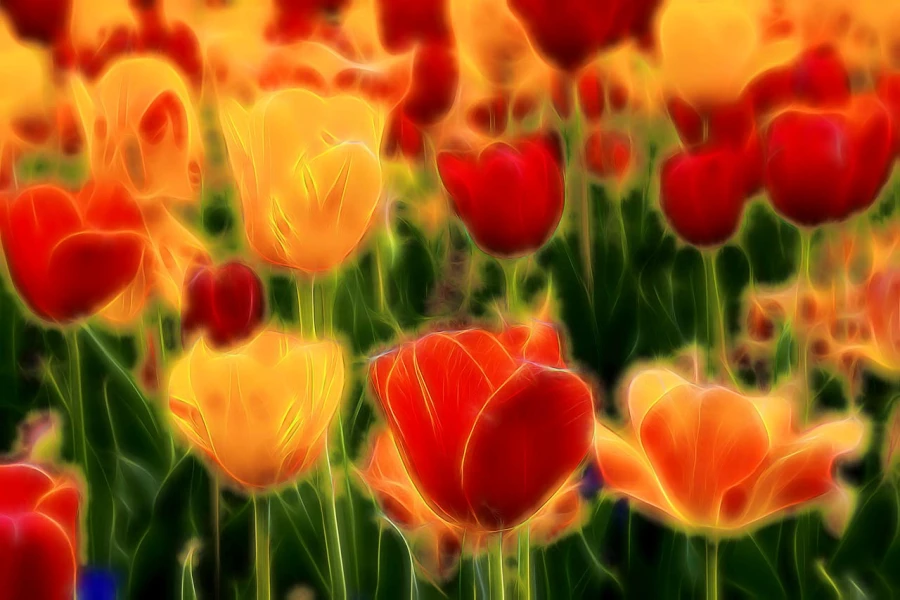 01 tulipes azalees en couleur
