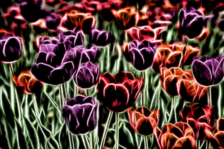 03 tulipes azalees en couleur