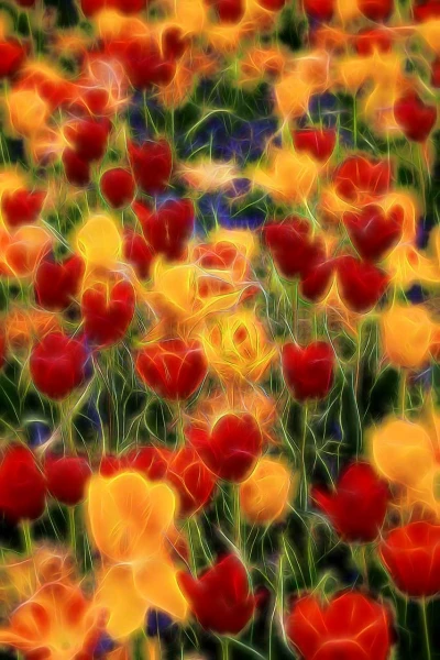 09 tulipes azalees en couleur