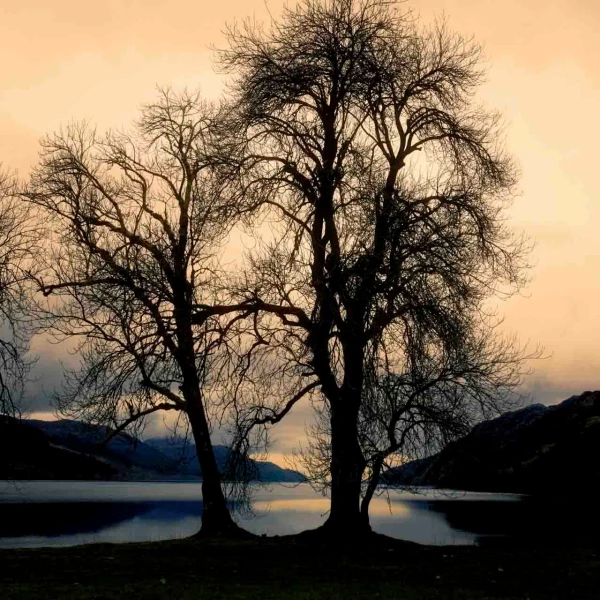 03 mysteres du loch ness ecosse