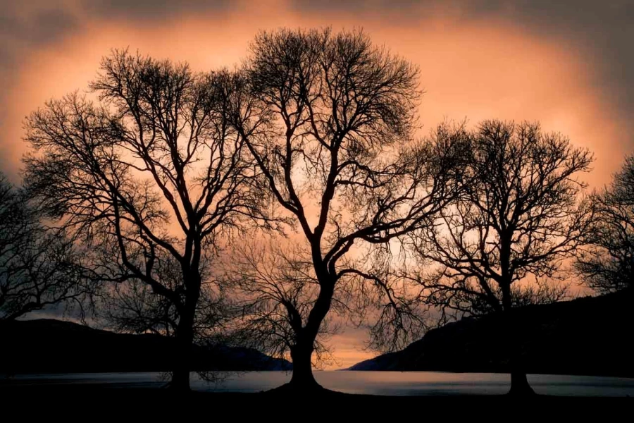 05 mysteres du loch ness ecosse