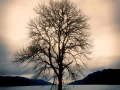 07 mysteres du loch ness ecosse