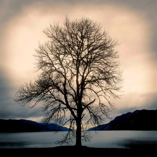 07 mysteres du loch ness ecosse