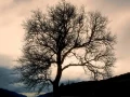 08 mysteres du loch ness ecosse