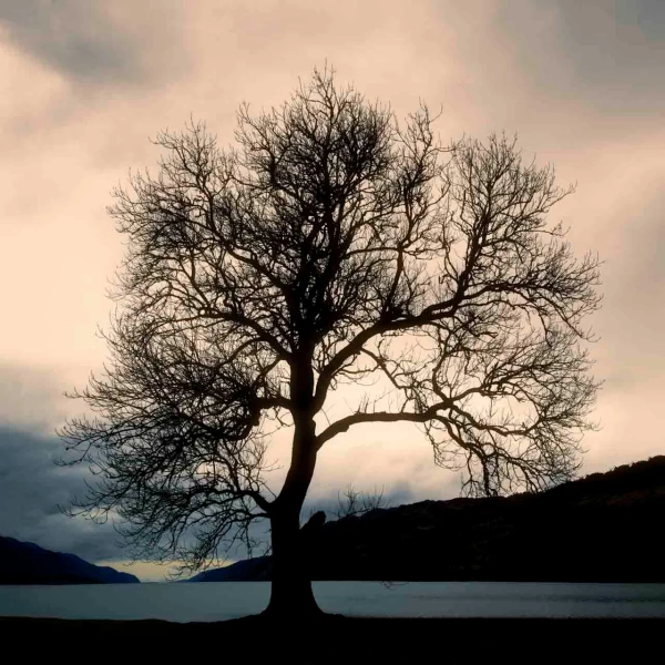 08 mysteres du loch ness ecosse