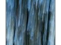 03 les pleurs des arbres 1648c