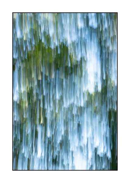 04 les pleurs des arbres 1649c
