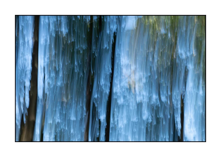 07 les pleurs des arbres 1652c