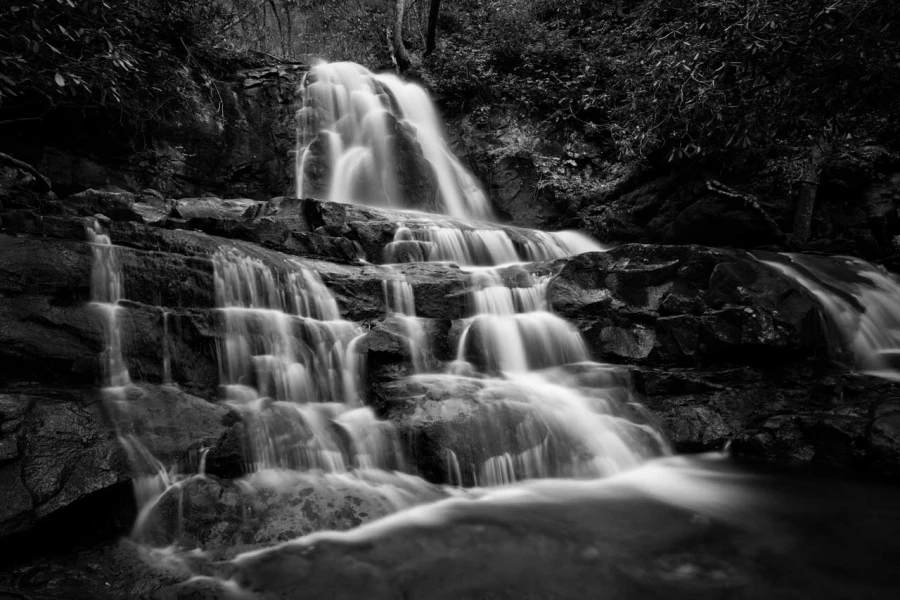13 paysage smoky mountains sous bois noir et blanc
