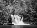 14 paysage smoky mountains sous bois noir et blanc