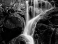 16 paysage smoky mountains sous bois noir et blanc