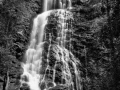 18 paysage smoky mountains sous bois noir et blanc