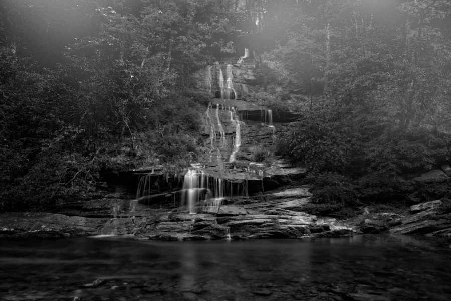 19 paysage smoky mountains sous bois noir et blanc