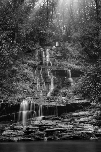 20 paysage smoky mountains sous bois noir et blanc