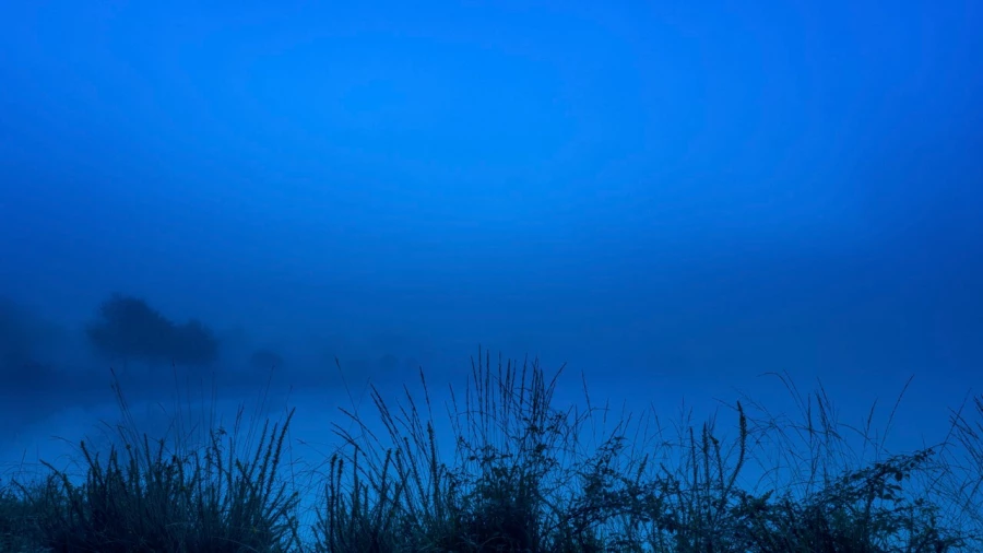 01 matin bleu