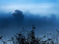05 matin bleu