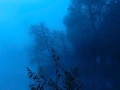 08 matin bleu