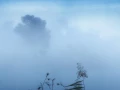 09 matin bleu