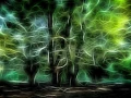 01 arbres sous bois style fusion