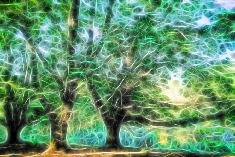 03 arbres sous bois style fusion