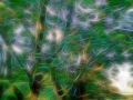 04 arbres sous bois style fusion