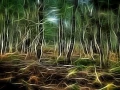 05 arbres sous bois style fusion