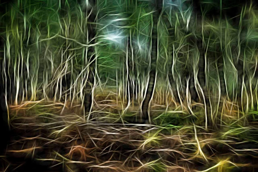 05 arbres sous bois style fusion