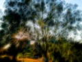 07 arbres sous bois style fusion