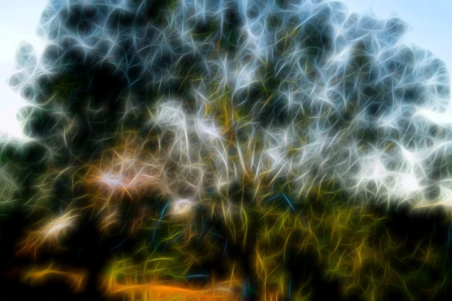 07 arbres sous bois style fusion