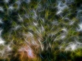 08 arbres sous bois style fusion
