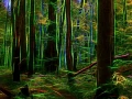 10 sous bois smoky mountains style fusion