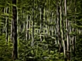 11 sous bois smoky mountains style fusion