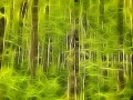 14 sous bois smoky mountains style fusion