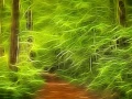 15 sous bois smoky mountains style fusion